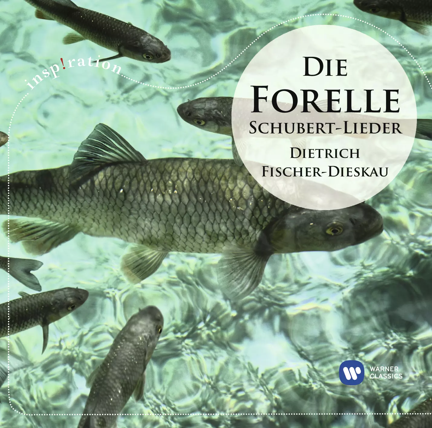 Die Forelle: Schubert-Lieder