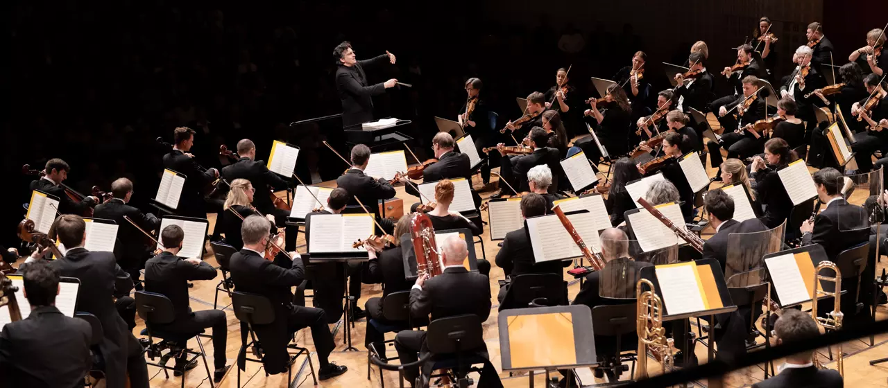 Luzerner Sinfonieorchester