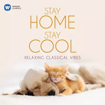 Stay Home, Stay Cool