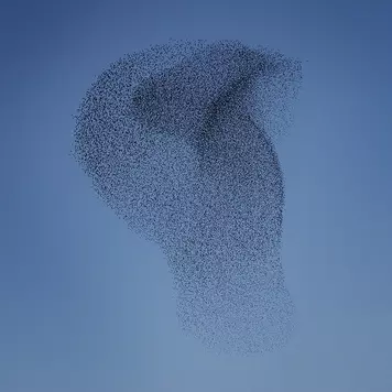 Matteo Myderwyk Remembrance 