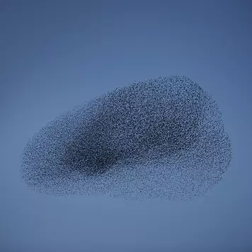 Matteo Myderwyk Longing