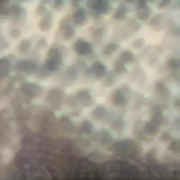 Carlos Cipa - Ourselves, as we are