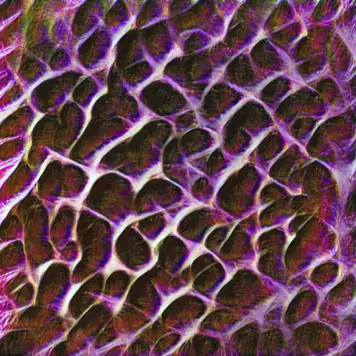 Carlos Cipa Ourselves, as we are