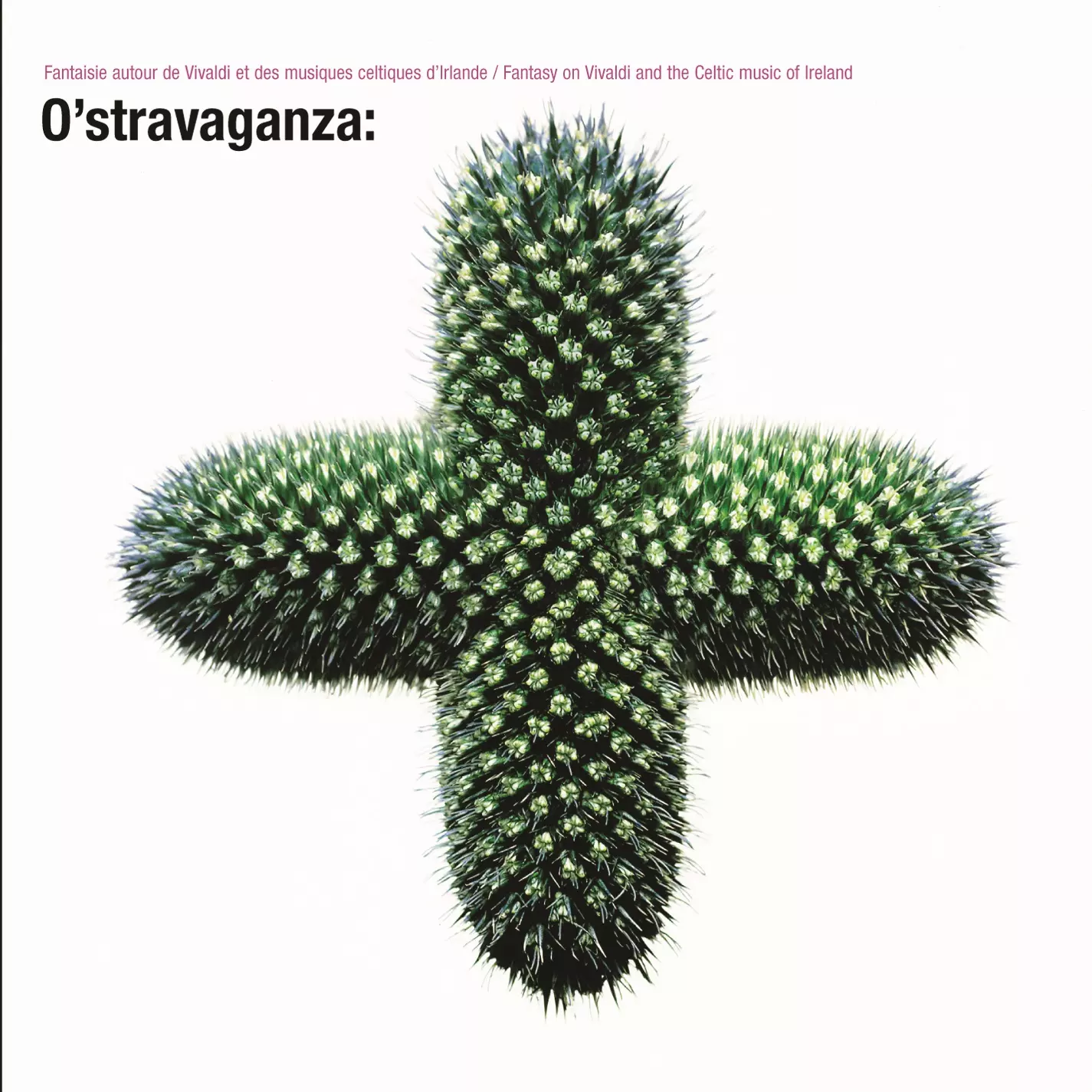 O' Stravaganza