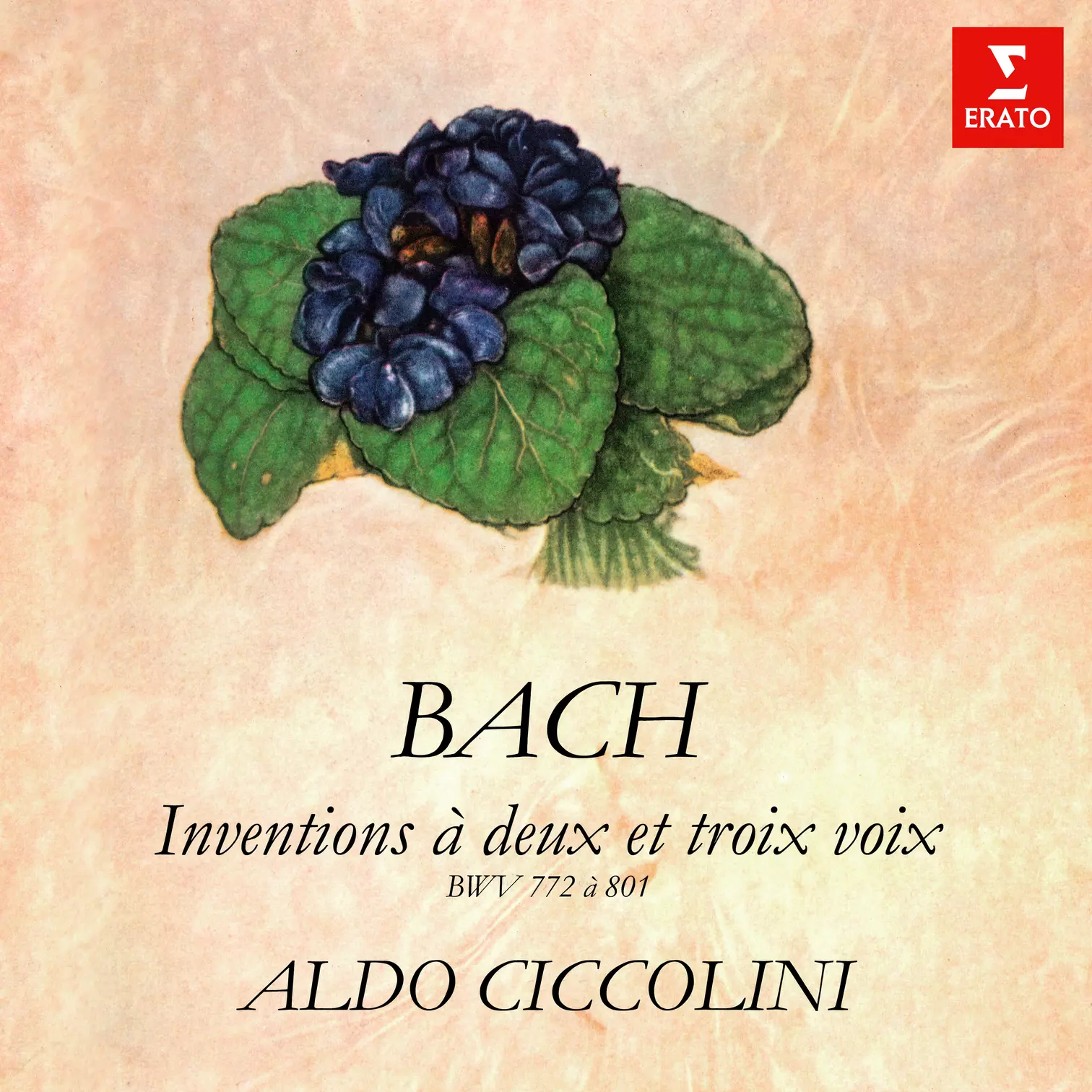 Bach: Inventions et sinfonies à deux et trois voix