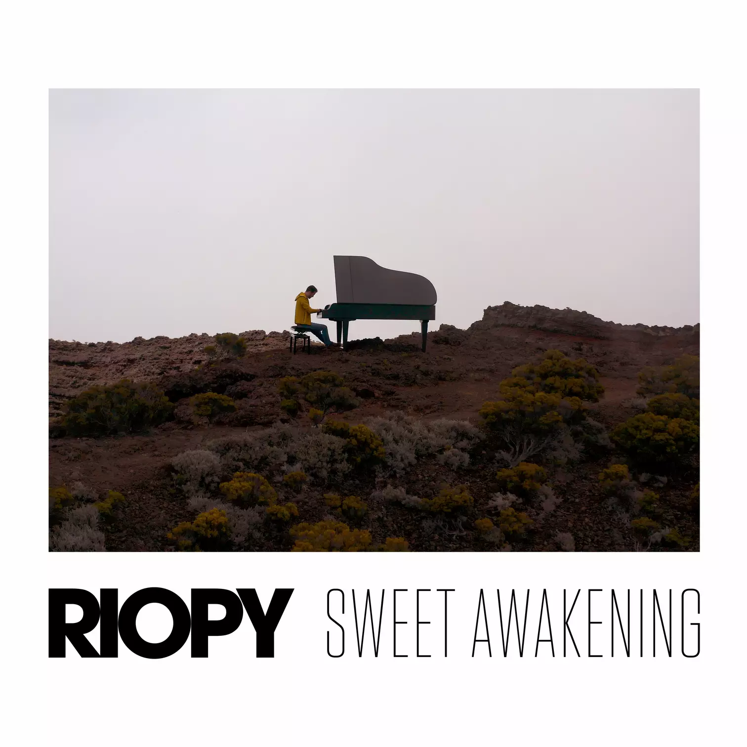 Sweet Awakening RIOPY