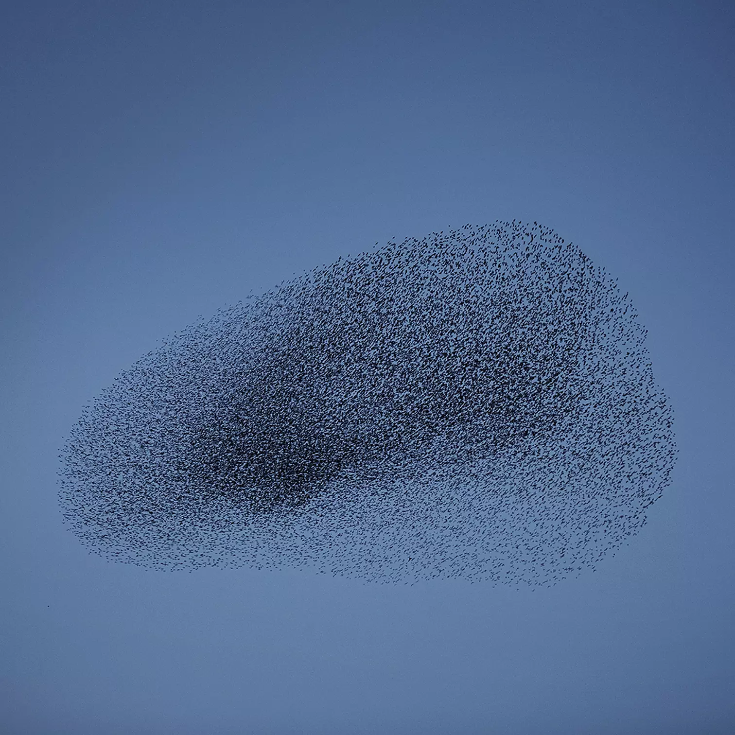 Matteo Myderwyk Longing