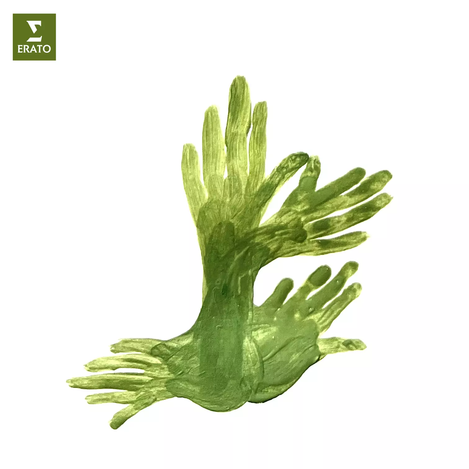 Maurice Ravel, Ma Mère l’Oye – Le Jardin Alexandre Tharaud Bertrand Chamayou