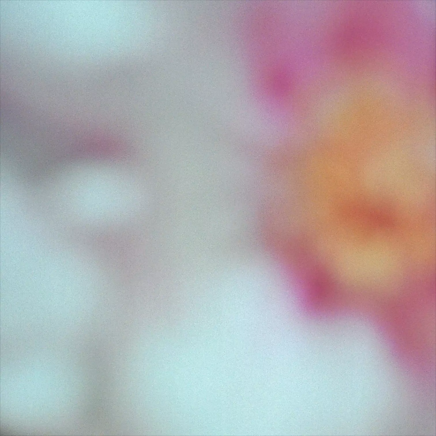 Carlos Cipa Hibernate