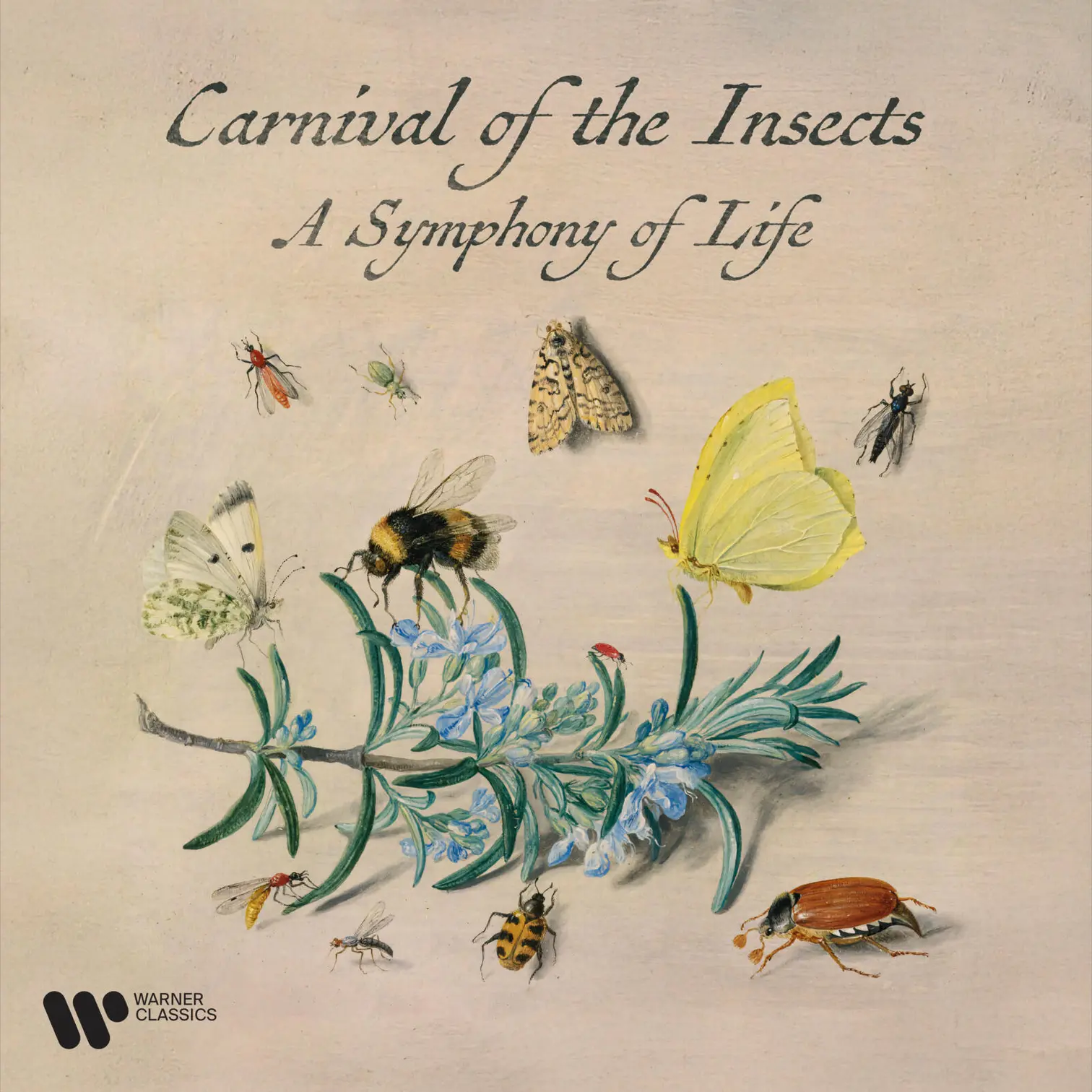 Zzzz. Carnival of the Insects - A Symphony for Life