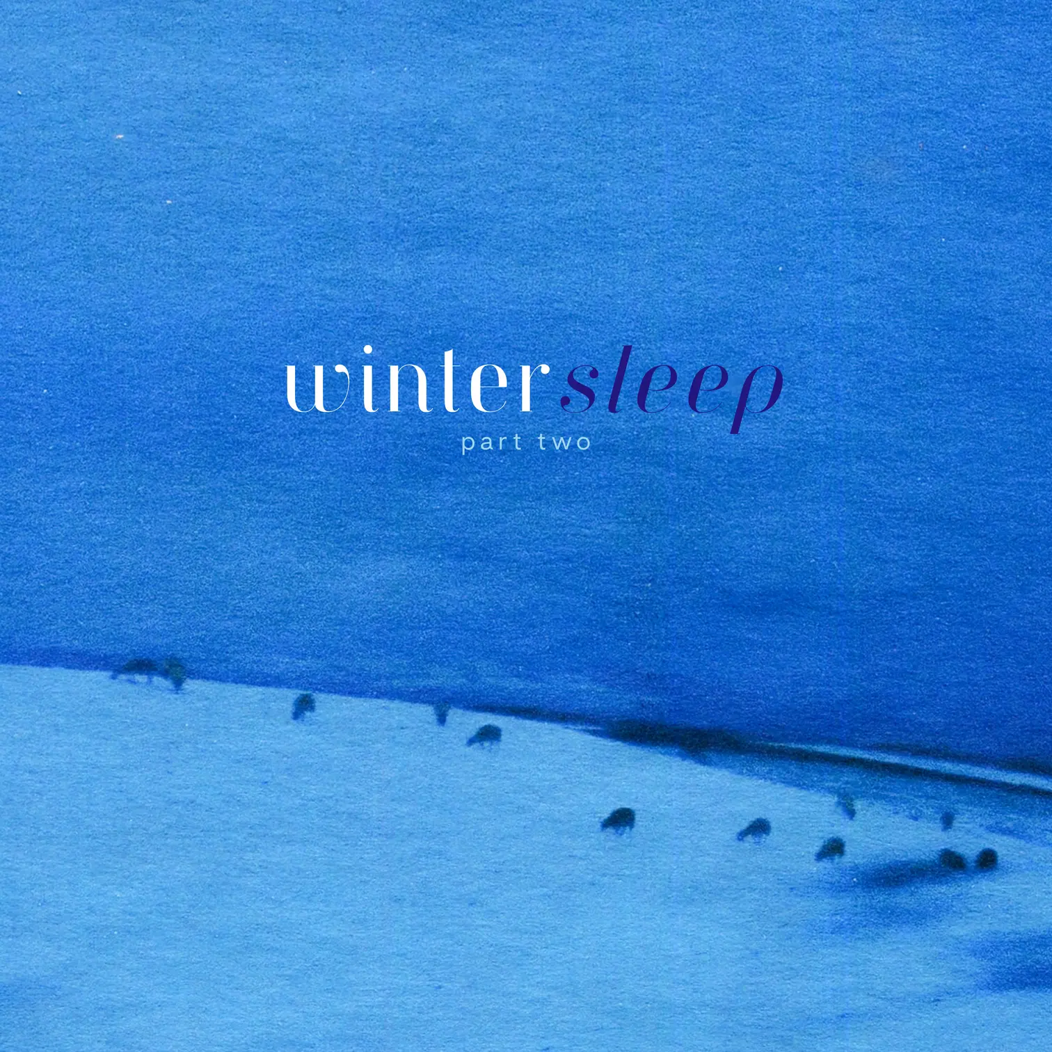 Wintersleep (part two)