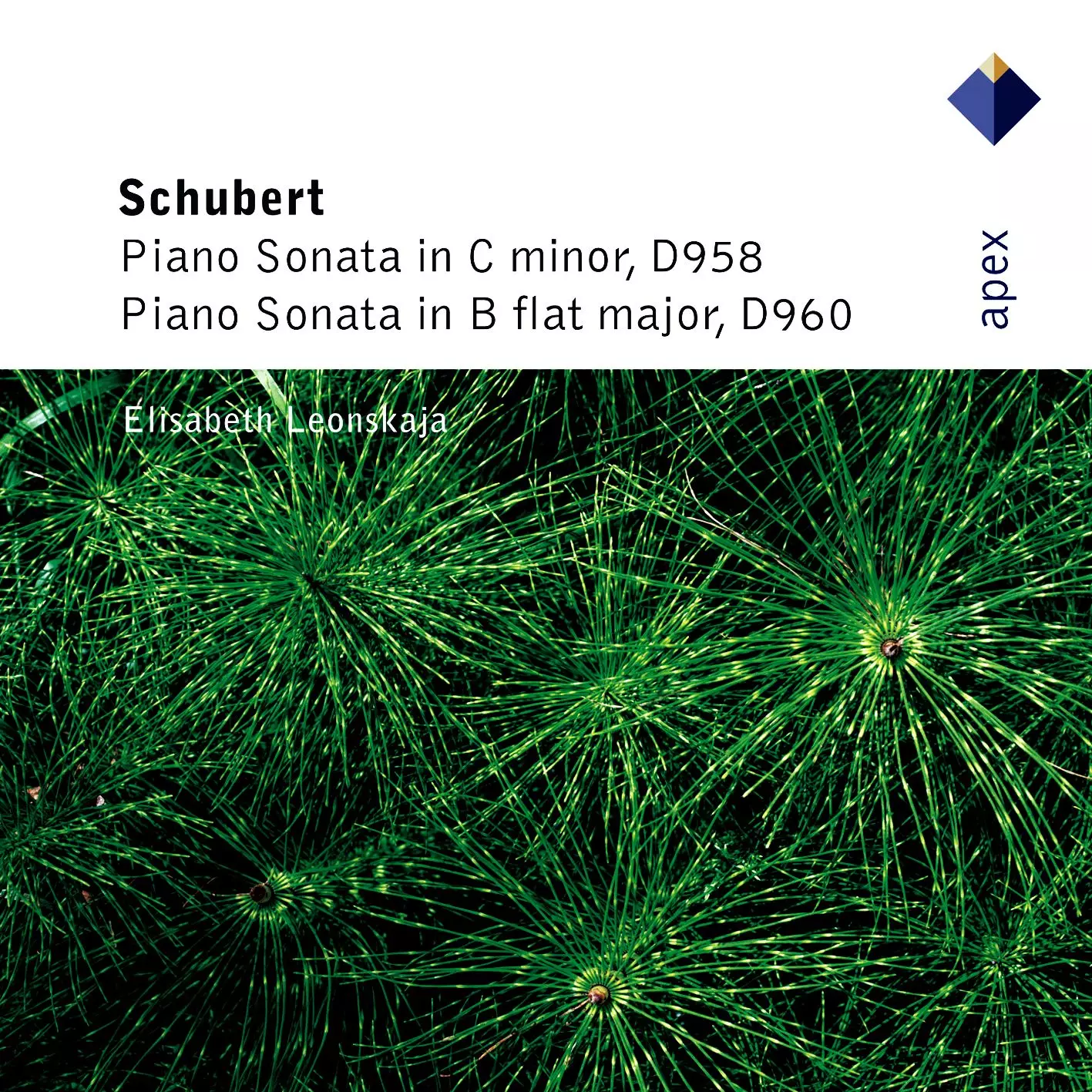 Schubert: Piano Sonatas Nos 19 & 21
