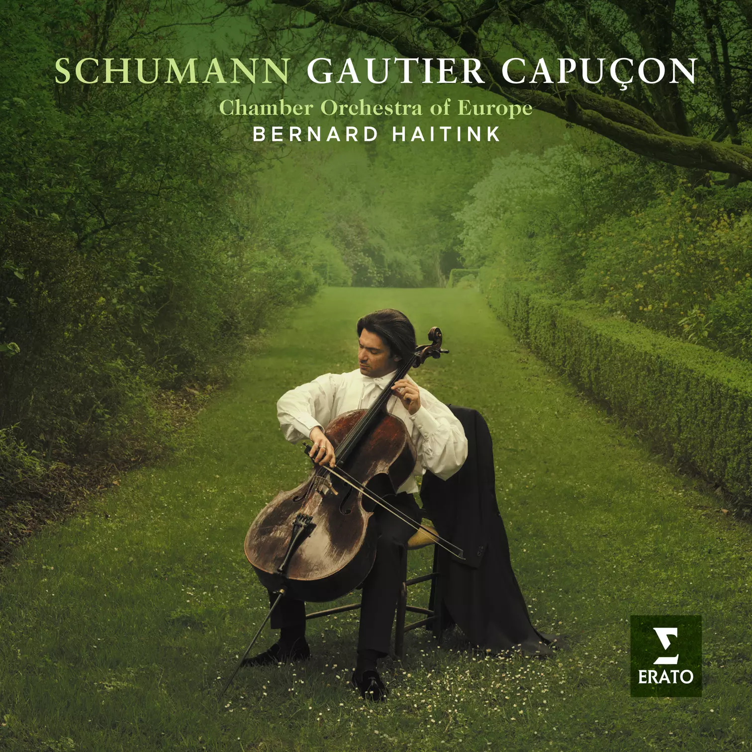 Gautier Capuçon Schumann