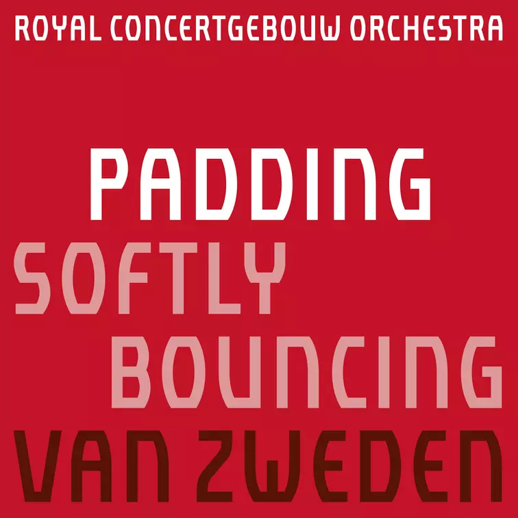 Martijn Padding: Softly Bouncing