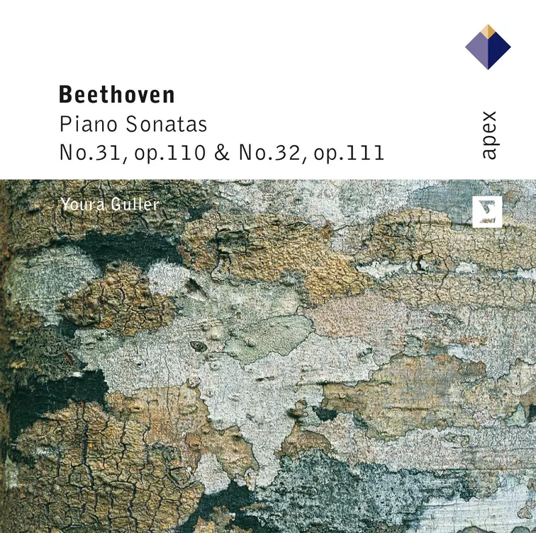 Beethoven: Piano Sonatas 31 & 32