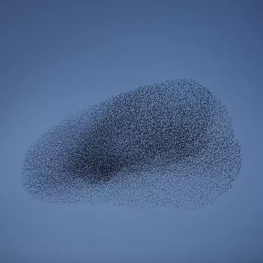 Matteo Myderwyk Longing