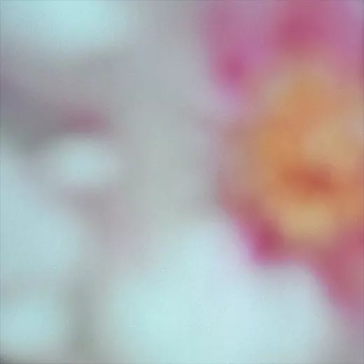 Carlos Cipa Hibernate