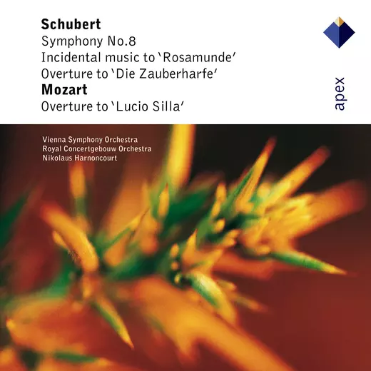 Schubert & Mozart Works
