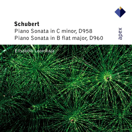 Schubert: Piano Sonatas Nos 19 & 21